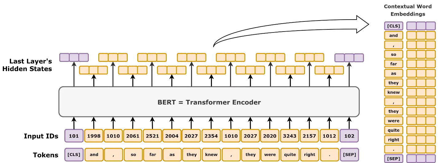 BERT Architektur