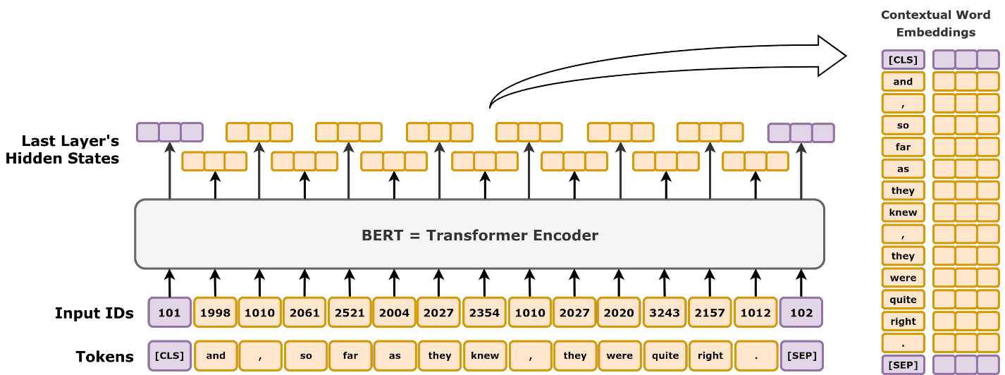 Simple BERT-Architecture Schematic